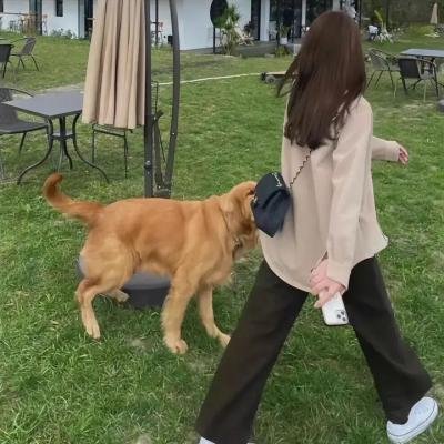 探险手札之未知领域